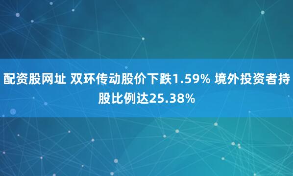 配资股网址 双环传动股价下跌1.59% 境外投资者持股比例达25.38%