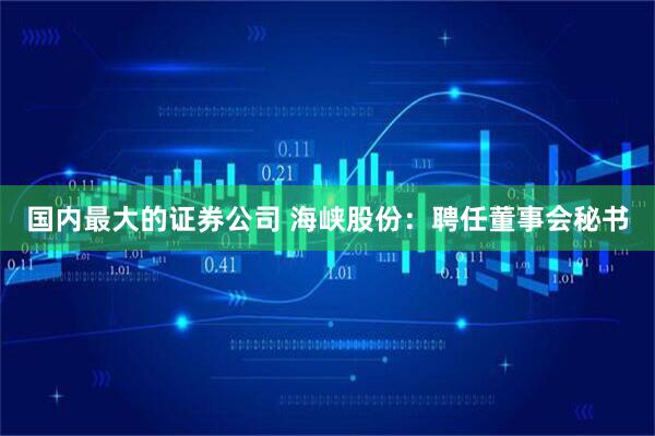 国内最大的证券公司 海峡股份：聘任董事会秘书